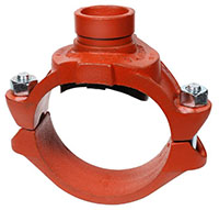 Fig-7046