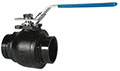 fig_BV835